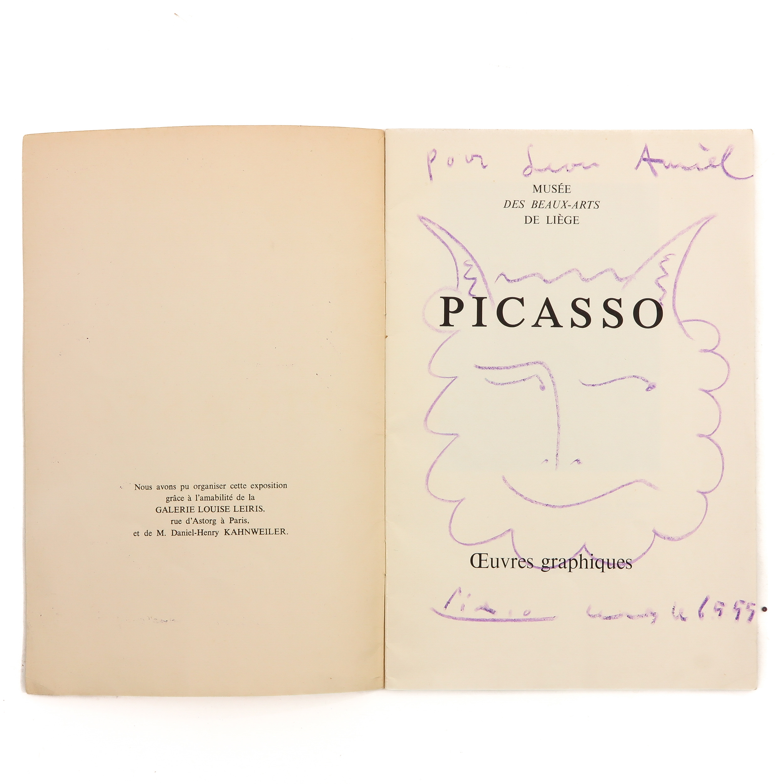 A Picasso Book